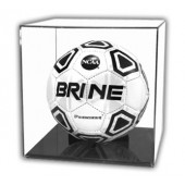 Soccer Ball Case